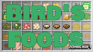 Bird's Foods Mod Para Minecraft 1.12.2/1.11.2/1.10.2/1.9.4/1.8 - ZonaCraft