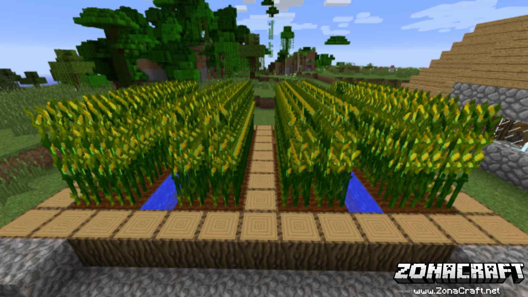 Simple Corn Mod Para Minecraft 1 16 5 1 12 2 1 11 2 1 10 2 1 9 4 1 Simple Corn Mod Para Minecraft 1 16 5 1 12 2 1 11 2 1 10 2 1 9 4 1