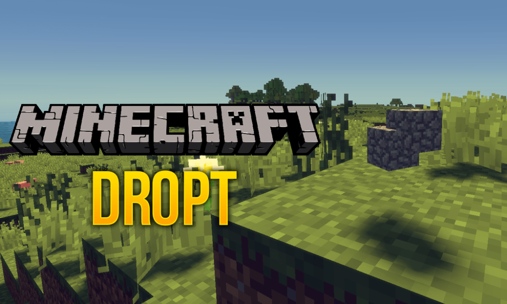 Vista previa de Dropt Mod para Minecraft