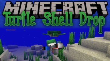 Turtle Shell Drop Mod Para Minecraft 1.13.2