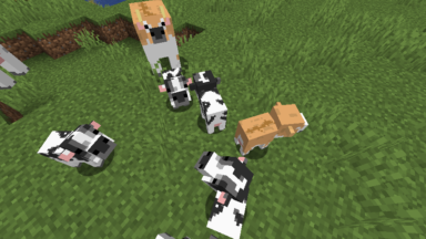 Vacas bebé