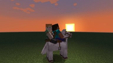 Two Players One Horse Mod