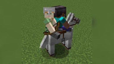 Two Players One Horse Mod Para Minecraft 1.16.5