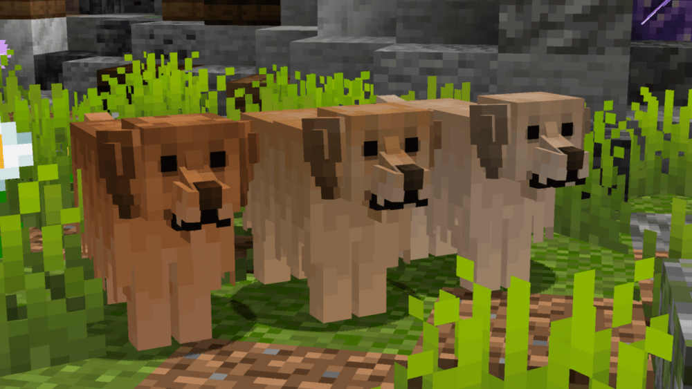 Variantes de perros