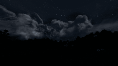 Cielo de noche