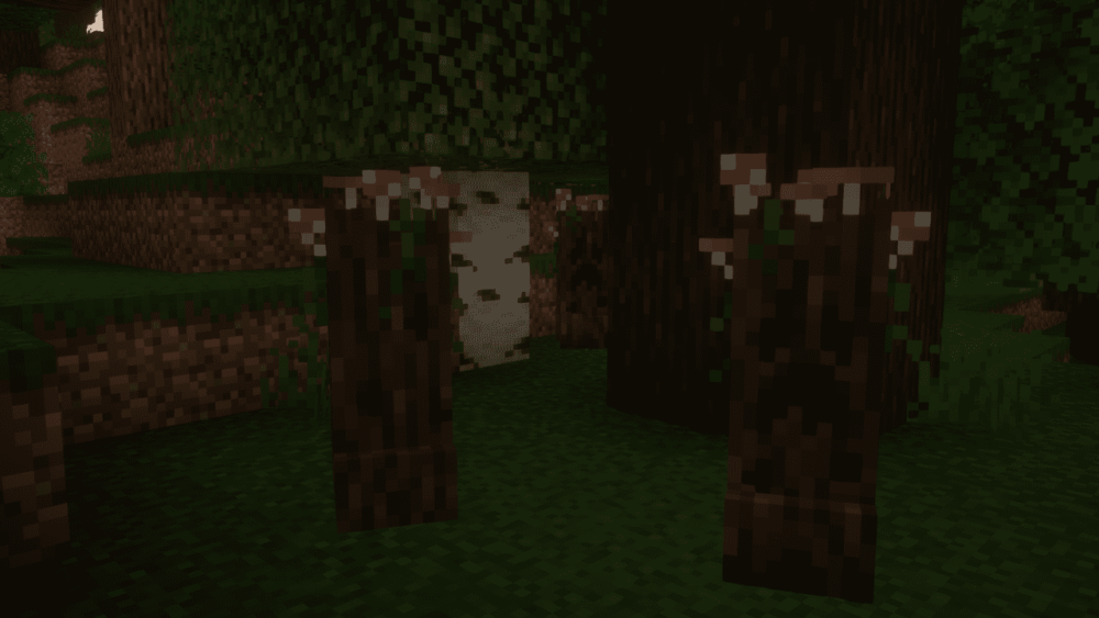 Creepers en el bosque