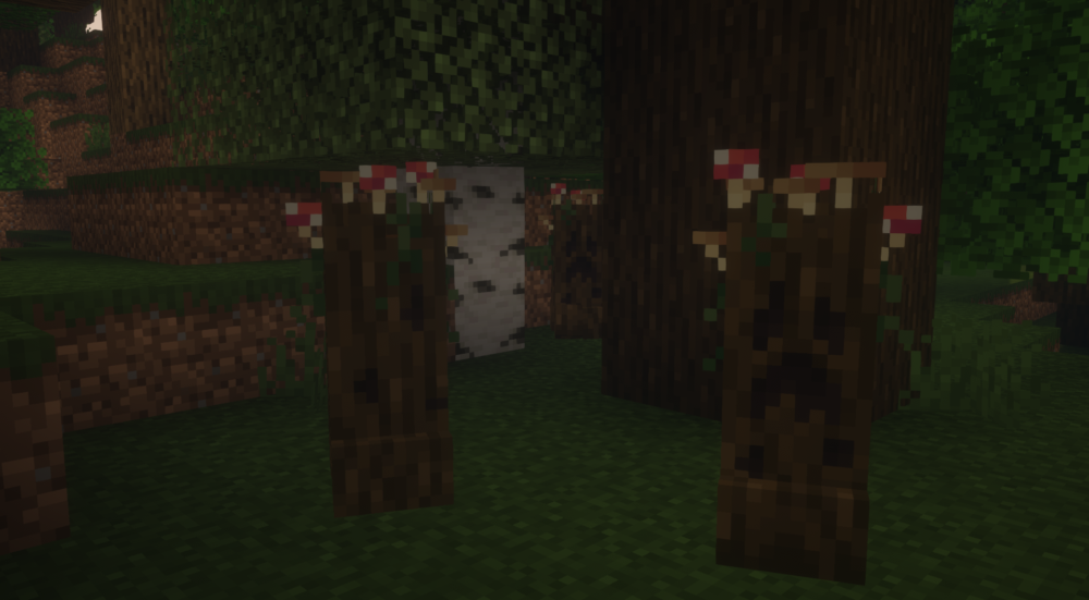 creeper de bosque oscuro