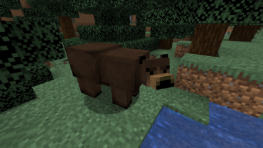 Grizzly bear Mod