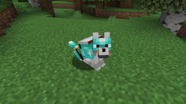 Wolves With Armor Mod Para Minecraft 1.19.1, 1.18.2, 1.17.1, 1.16.5, 1.15.2
