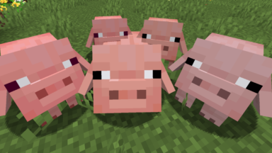 Cerdos