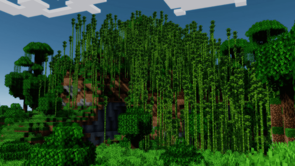 Selva de bambú