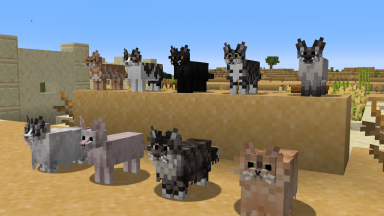 Better Cats Texture Pack Para Minecraft 1.19.3, 1.18.2, 1.17.1, 1.16.5, 1.15.2, 1.14.4, 1.13.2, 1.12.2, 1.11.2, 1.10.2, 1.9.4, 1.8.9
