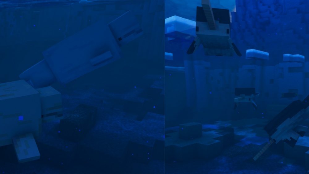 Narval y ballenas Minecraft