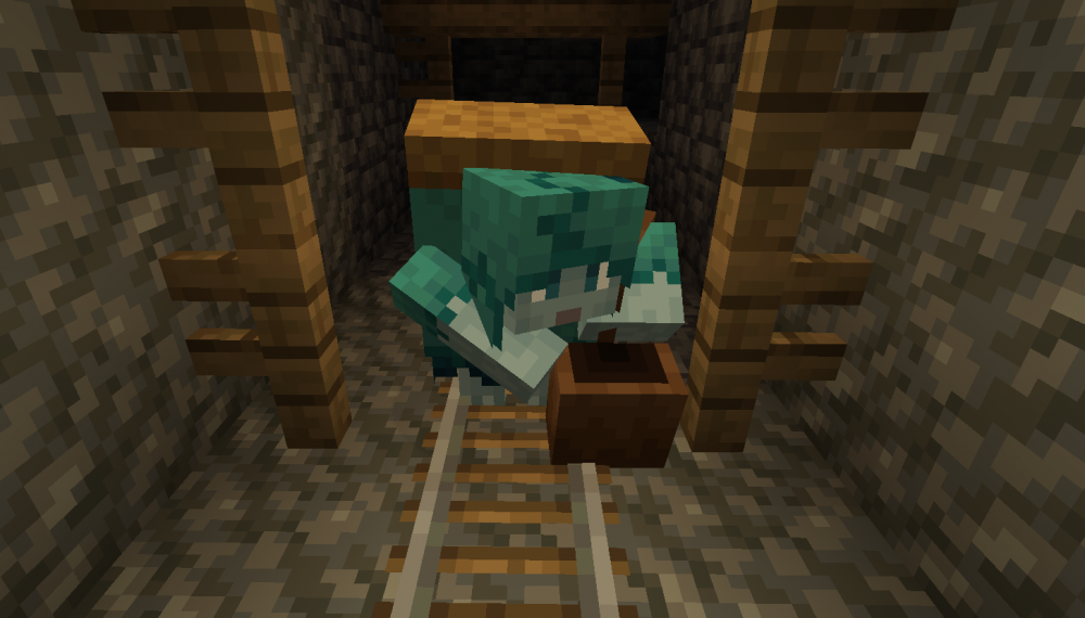 rascal Minecraft