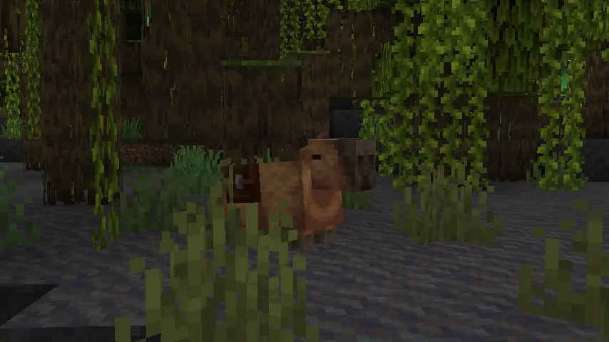 Capybara en pantano