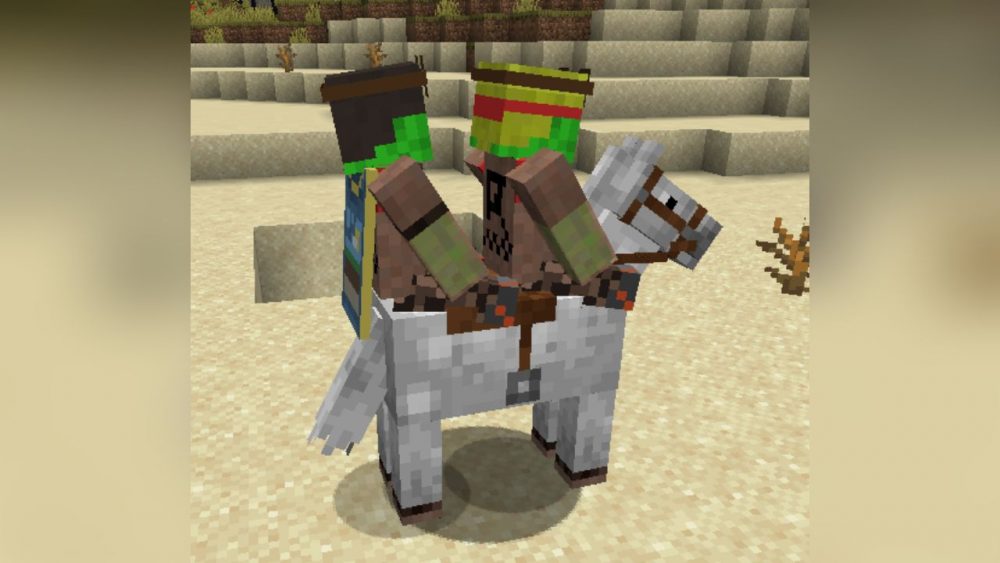 Vista previa de Dual Riders Mod para Minecraft