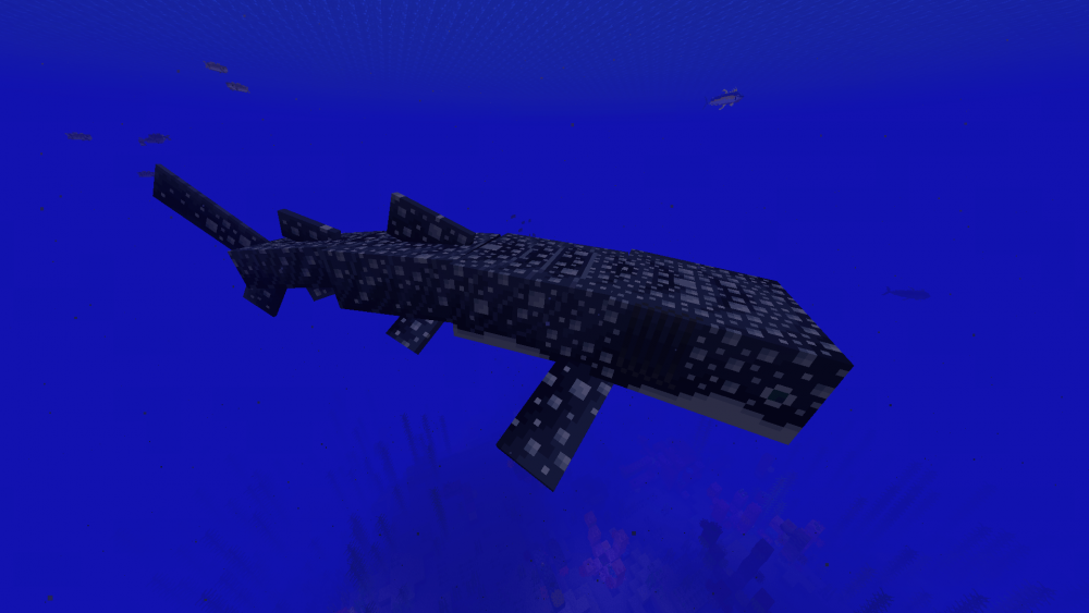ballena tiburón