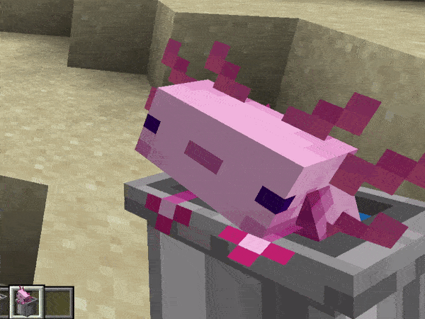 Alittl Axolotl And Friends Texture Pack Para Minecraft 1201 1194