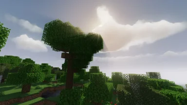 cielo realista