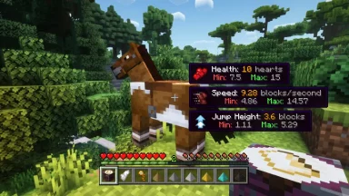 Horse Expert Mod