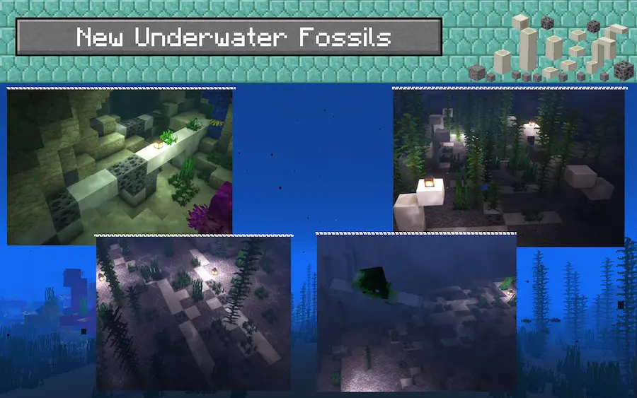 Fósiles bajo el agua