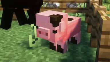 cerdo bebe