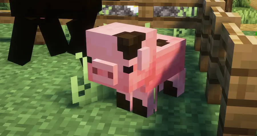 cerdo bebe