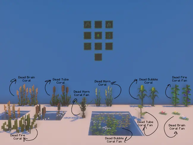 cambio de textura de plantas