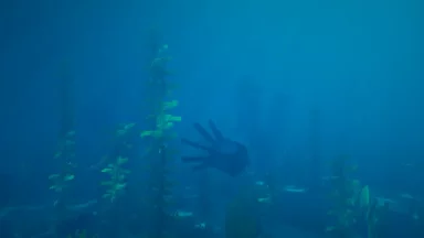 bajo el agua