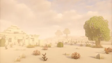 desierto