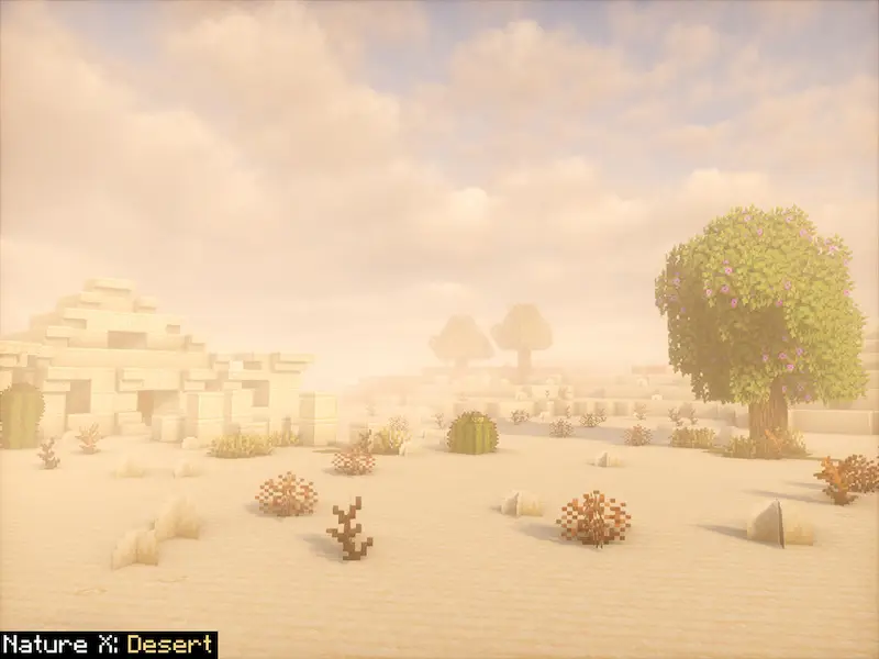 desierto