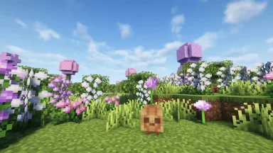 bioma de flores