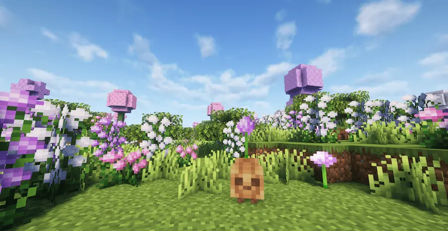 bioma de flores
