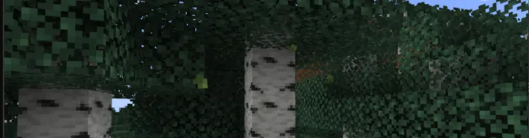 hojas cayendo de un árbol