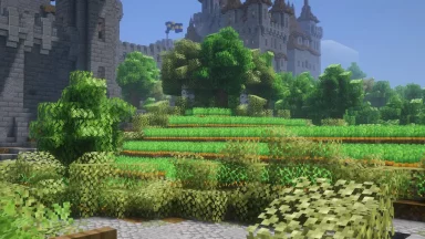 árboles