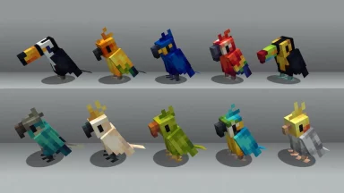 Parrots