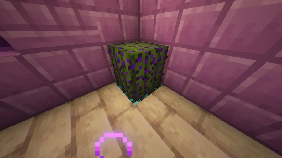 cactus del end