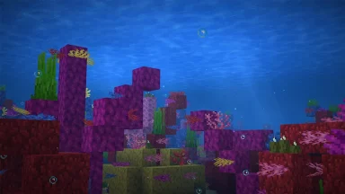 coral