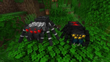 araña de jungla