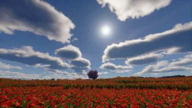 cielo realista