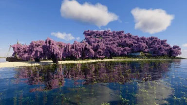 reflejo del agua