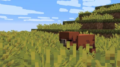 cerdo