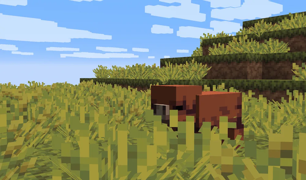 cerdo