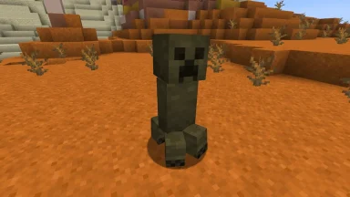 creeper de tierras baldias