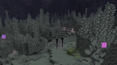 Veiled Woodlands