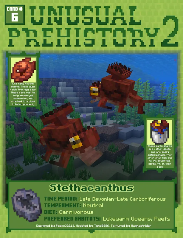 Stethacanthus