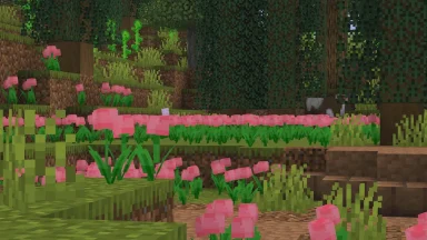 flores rosas