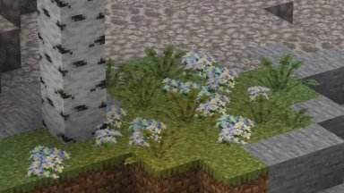 flores blancas