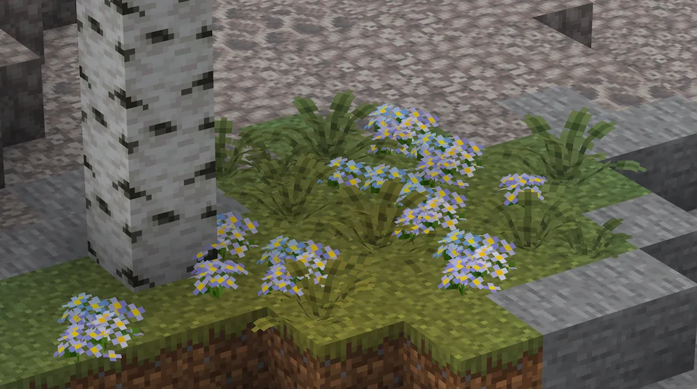 flores blancas
