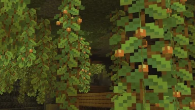 berries 3d